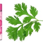 corainderleaves