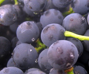 anti aging face packs grapes