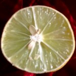lemon