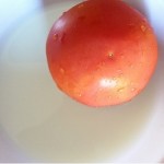 tomato and coconut milk