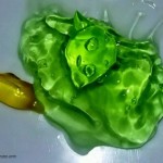 aloevera_eyelashes