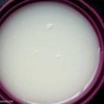 coconut milk