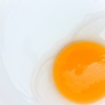 egg yolk conditioner