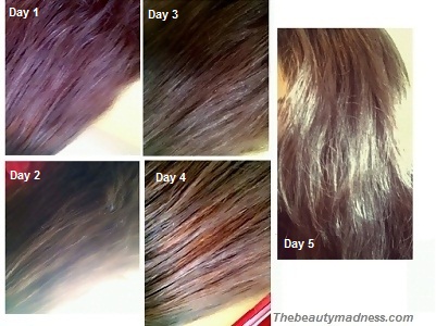 5 Homemade Hair Conditioners to get Instant Shine, Silky and Bouncy Hair -  thebeautymadness