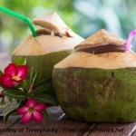 summer tips coconut water