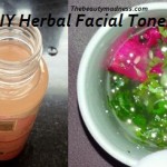 homemade herbal facial toner