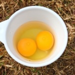 Egg Yolk Moisturizing face pack