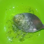 detoxify pores