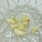 garlic juice for black spots