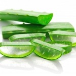 Beauty Uses of Aloe Vera