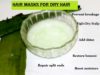 10 Fantastic DIY Hair Masks For Dry Hair