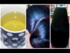 Miracle Tea to Make Hair Grow Fast, Thick, Long & Black Naturally in 20 Days