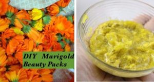 5 DIY Marigold Face Packs For Intense Glow, Fair, Clear & Younger Skin