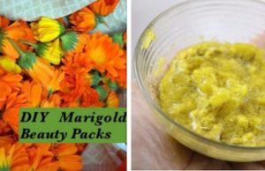 5 DIY Marigold Face Packs For Intense Glow, Fair, Clear & Younger Skin