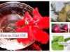 5 Homemade Hair Oils to Stop Hair Fall in 1 Week