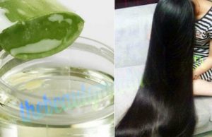 Aloe Vera Hair Mask Recipe To Make Your Hair Soft Smooth in Winter