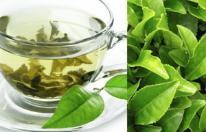 use of green tea in anti ageing