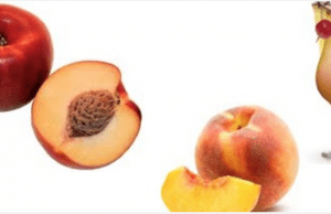 Drop 2 inches of Your Waist with Super Fat Burning Foods