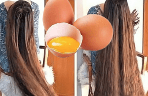 the right way to use egg to double the growth and hair thickness – 90% of the people don’t know
