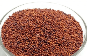 9 astonishing things happen to your body when you have Ragi