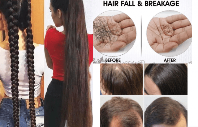 longhair