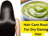 Hair Care Routine For Dry Damaged Hair