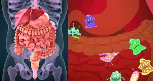 7 Bad Signs of an unhealthy gut, Do this to improve it naturally