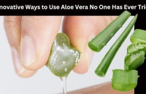 9 innovative ways to use Aloe Vera you’ve never heard of before!
