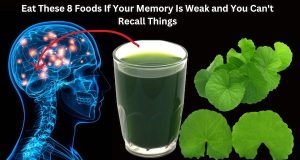 Eat These 8 Foods If Your Memory Is Weak and You Can’t Recall Things