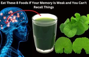 Eat These 8 Foods If Your Memory Is Weak and You Can’t Recall Things