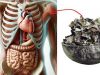 These 10 unique spices you never knew could be so valuable to your health! more valuable than gold