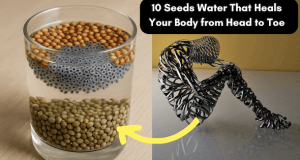 10 Seeds Water That Heals Your Body from Head to Toe