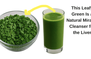 This Leafy Green Is a Natural Miracle Cleanser for the Liver
